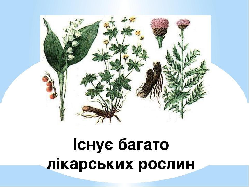 ЛІкарські рослини