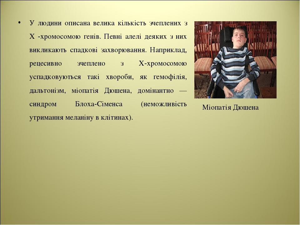 У людини описана велика кількість зчеплених з Х -хромосомою генів. Певні алелі деяких з них викликають спадкові захворювання. Наприклад, рецесивно ...