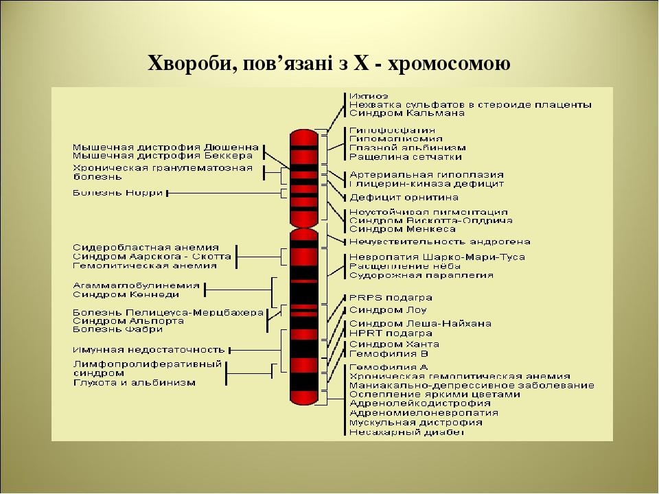 Хвороби, пов’язані з Х - хромосомою