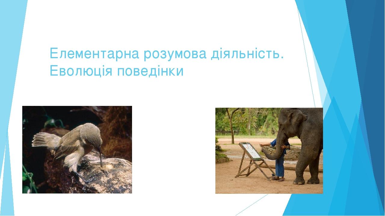 Елементарна розумова діяльність. Еволюція поведінки