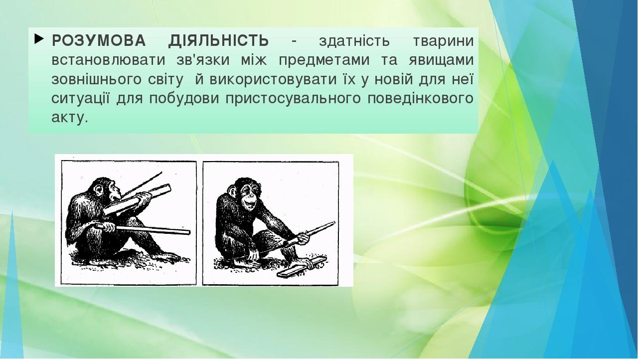 РОЗУМОВА ДІЯЛЬНІСТЬ - здатність тварини встановлювати зв'язки між предметами та явищами зовнішнього світу й використовувати їх у новій для неї ситу...