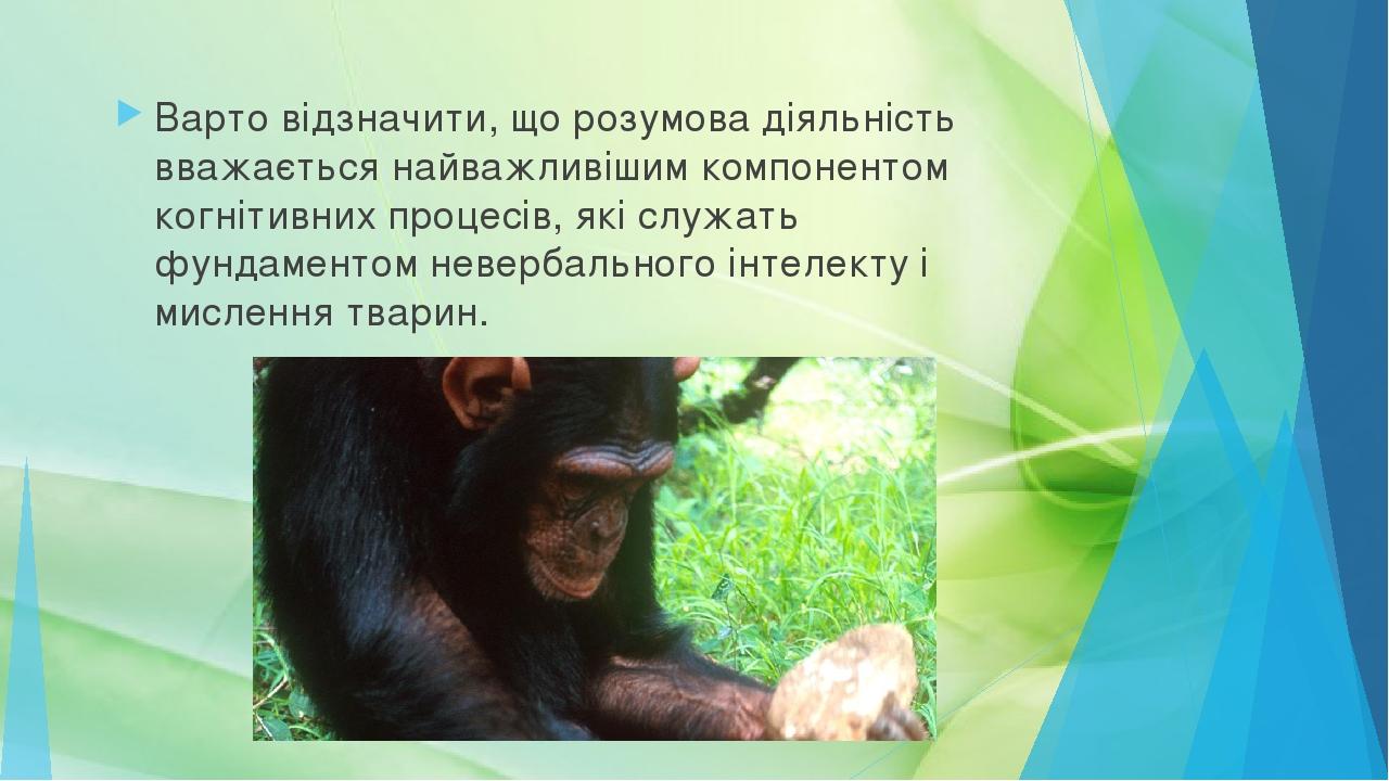 Варто відзначити, що розумова діяльність вважається найважливішим компонентом когнітивних процесів, які служать фундаментом невербального інтелекту...