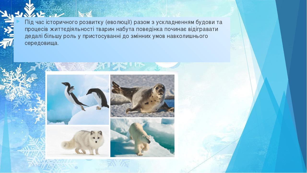 Під час історичного розвитку (еволюції) разом з ускладненням будови та процесів життєдіяльності тварин набута поведінка починає відігравати дедалі ...