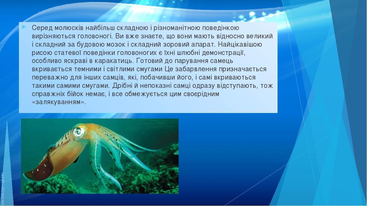 Серед молюсків найбільш складною і різноманітною поведінкою вирізняються головоногі. Ви вже знаєте, що вони мають відносно великий і складний за бу...