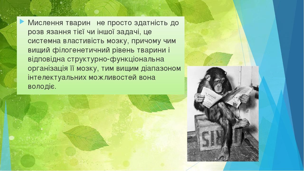 Мислення тварин  не просто здатність до розвязання тієї чи іншої задачі, це системна властивість мозку, причому чим вищий філогенетичний рівень т...