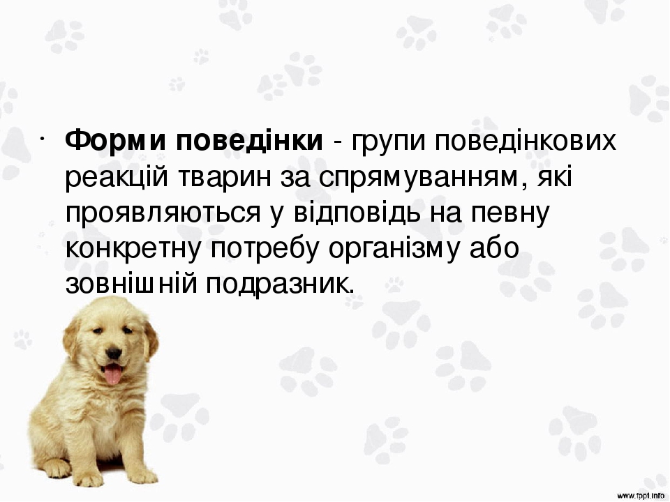 Форми поведінки - групи поведінкових реакцій тварин за спрямуванням, які проявляються у відповідь на певну конкретну потребу організму або зовнішні...