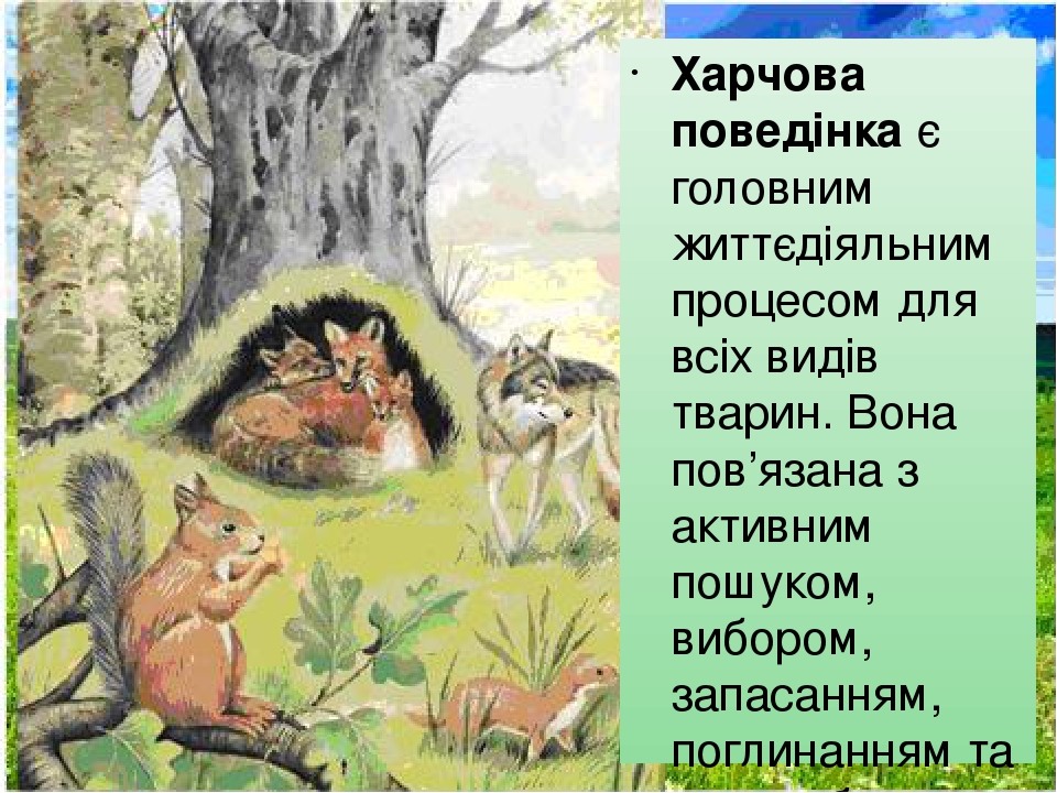 Харчова поведінка є головним життєдіяльним процесом для всіх видів тварин. Вона пов’язана з активним пошуком, вибором, запасанням, поглинанням та п...