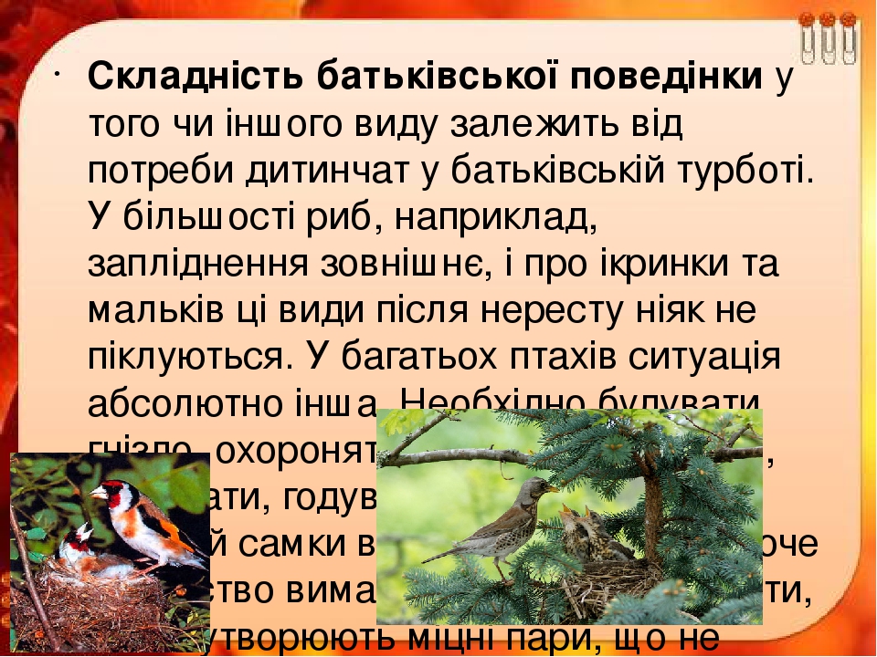 Складність батьківської поведінки у того чи іншого виду залежить від потреби дитинчат у батьківській турботі. У більшості риб, наприклад, запліднен...