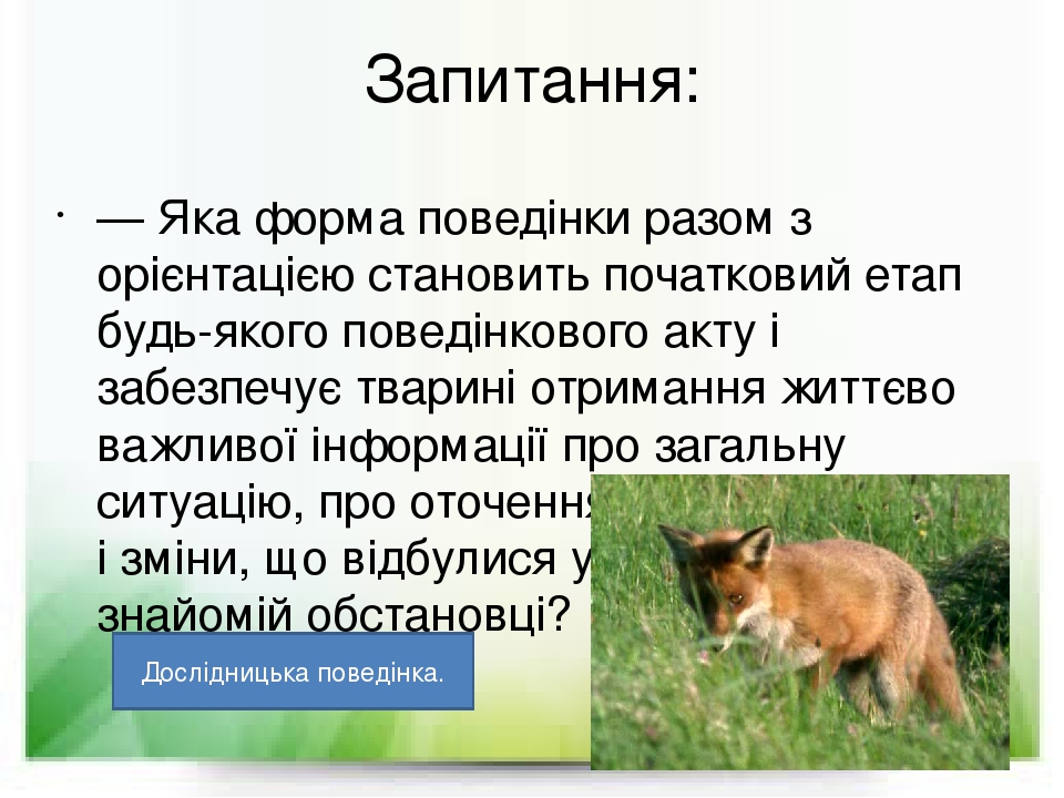 Запитання: — Яка форма поведінки разом з орієнтацією становить початковий етап будь-якого поведінкового акту і забезпечує тварині отримання життєво...