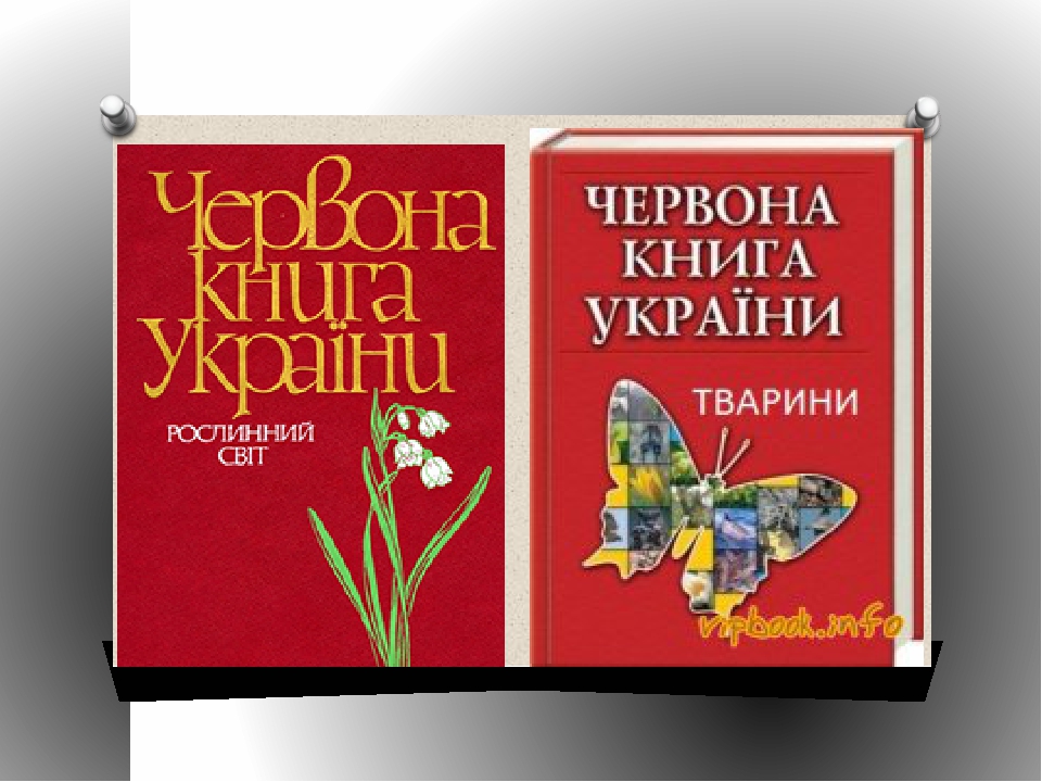 Які рослини і тварини занесені до Червоної книги України