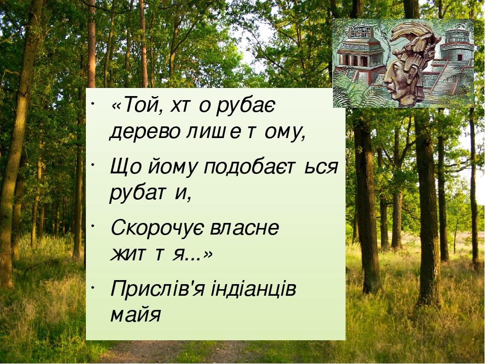 «Той, хто рубає дерево лише тому, Що йому подобається рубати, Скорочує власне життя...» Прислів'я індіанців майя Поясніть вислів індіанців майя з е...