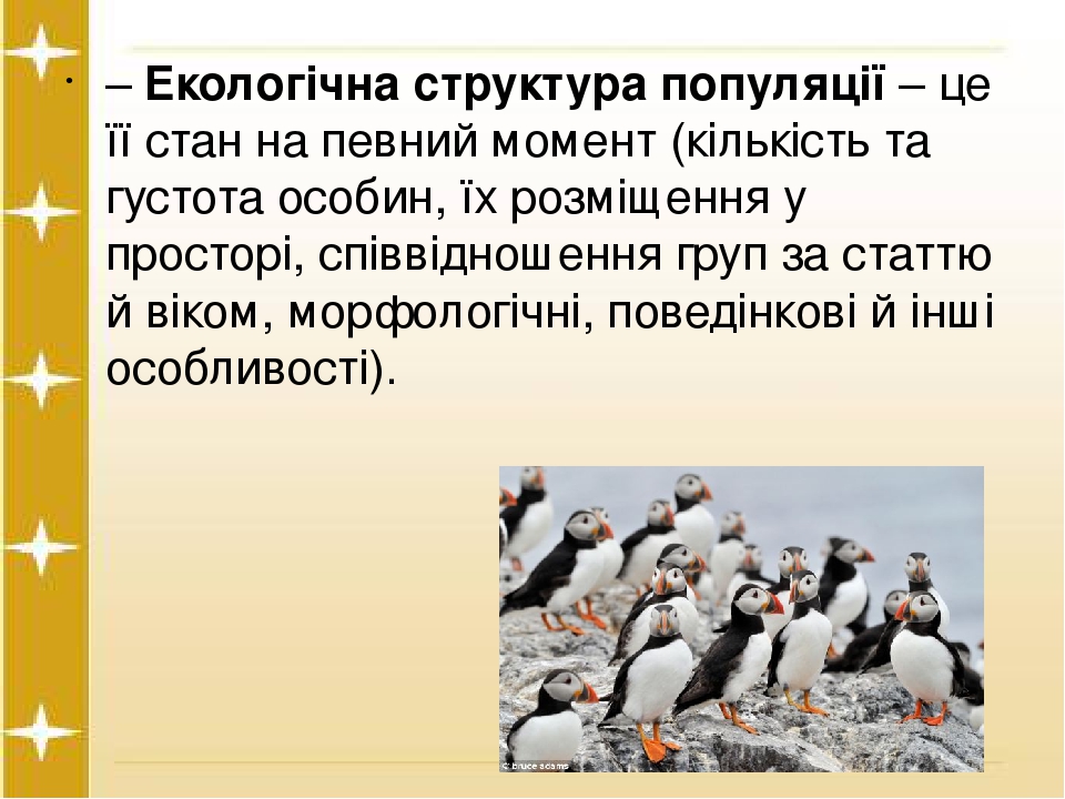 – Екологічна структура популяції – це її стан на певний момент (кількість та густота особин, їх розміщення у просторі, співвідношення груп за статт...