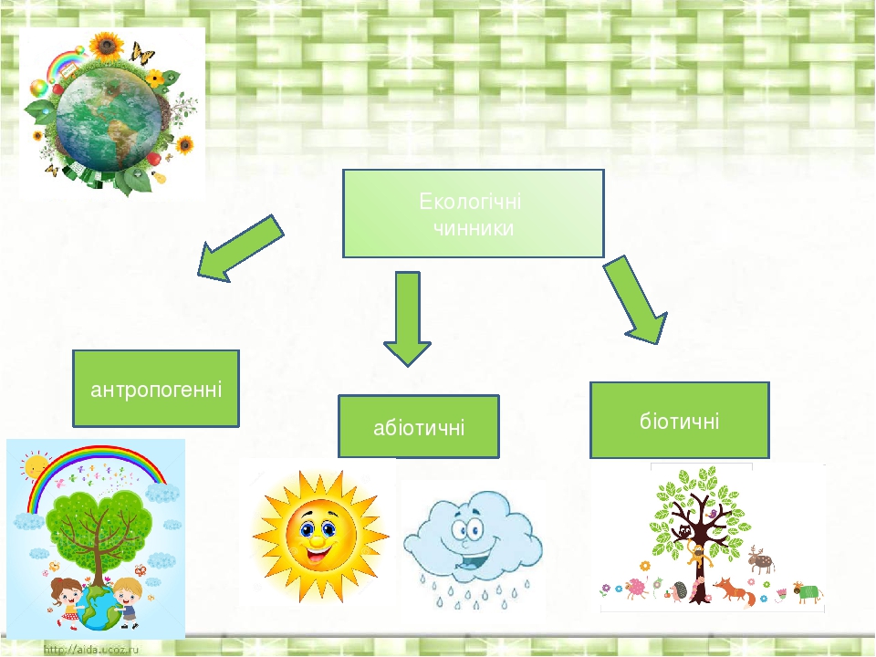 Екологічні чинники антропогенні абіотичні біотичні