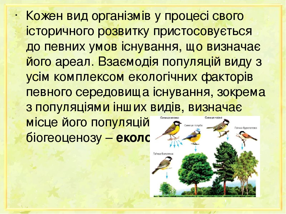 Кожен вид організмів у процесі свого історичного розвитку пристосовується до певних умов існування, що визначає його ареал. Взаємодія популяцій вид...