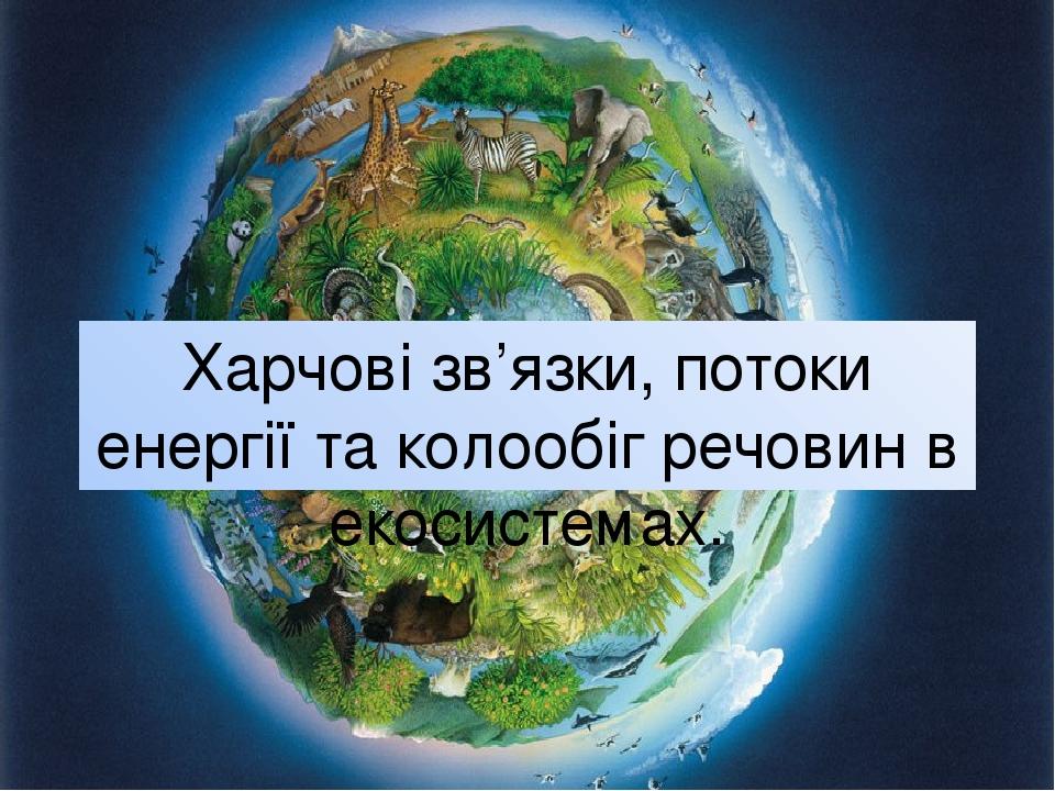 Харчові зв’язки, потоки енергії та колообіг речовин в екосистемах.