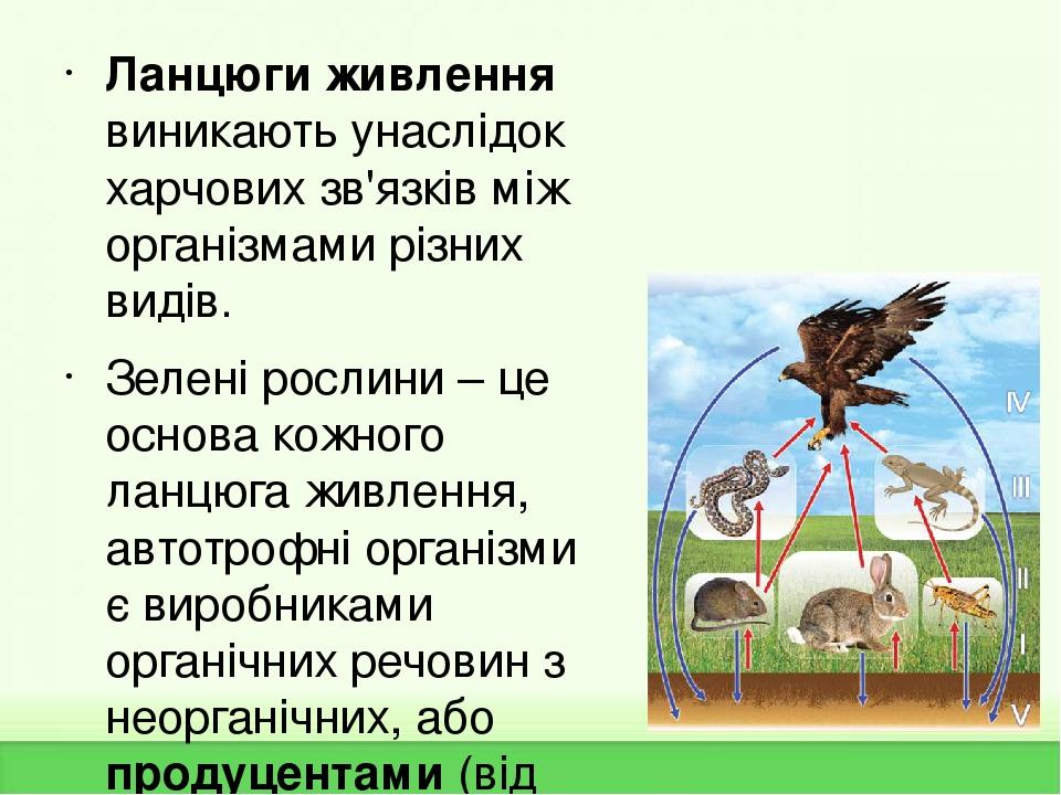 Ланцюги живлення виникають унаслідок харчових зв'язків між організмами різних видів. Зелені рослини – це основа кожного ланцюга живлення, автотрофн...