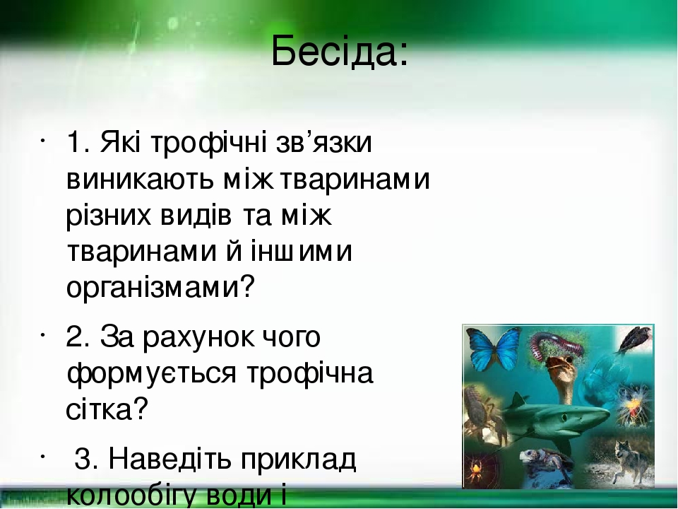 Бесіда: 1. Які трофічні зв’язки виникають між тваринами різних видів та між тваринами й іншими організмами? 2. За рахунок чого формується трофічна ...