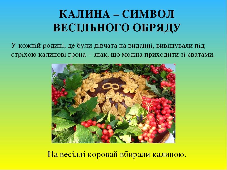 Калина чей символ