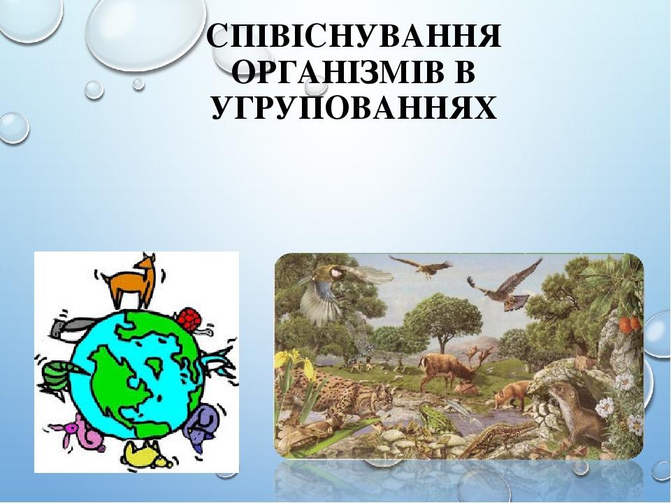 СПІВІСНУВАННЯ ОРГАНІЗМІВ В УГРУПОВАННЯХ