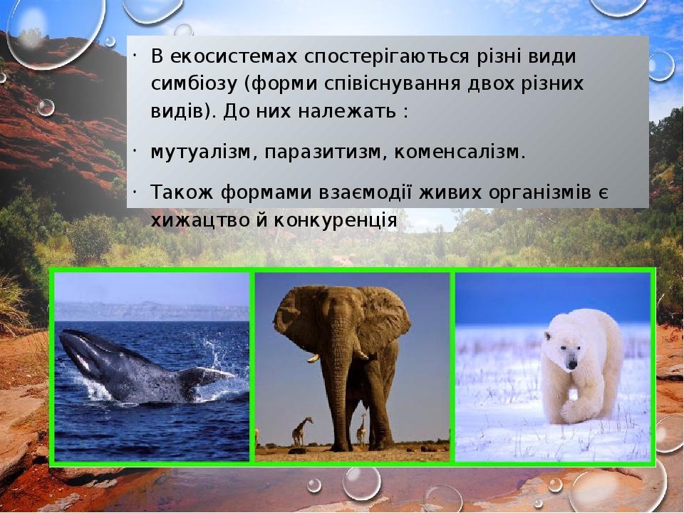 В екосистемах спостерігаються різні види симбіозу (форми співіснування двох різних видів). До них належать : мутуалізм, паразитизм, коменсалізм. Та...