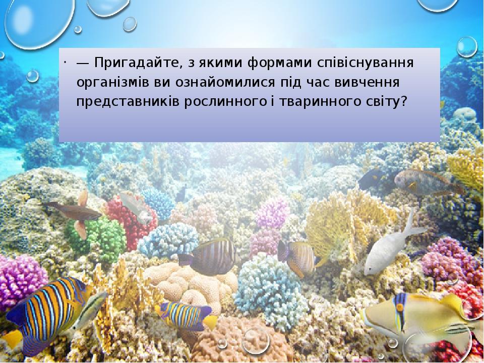 — Пригадайте, з якими формами співіснування організмів ви ознайомилися під час вивчення представників рослинного і тваринного світу?