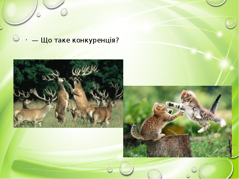 — Що таке конкуренція?