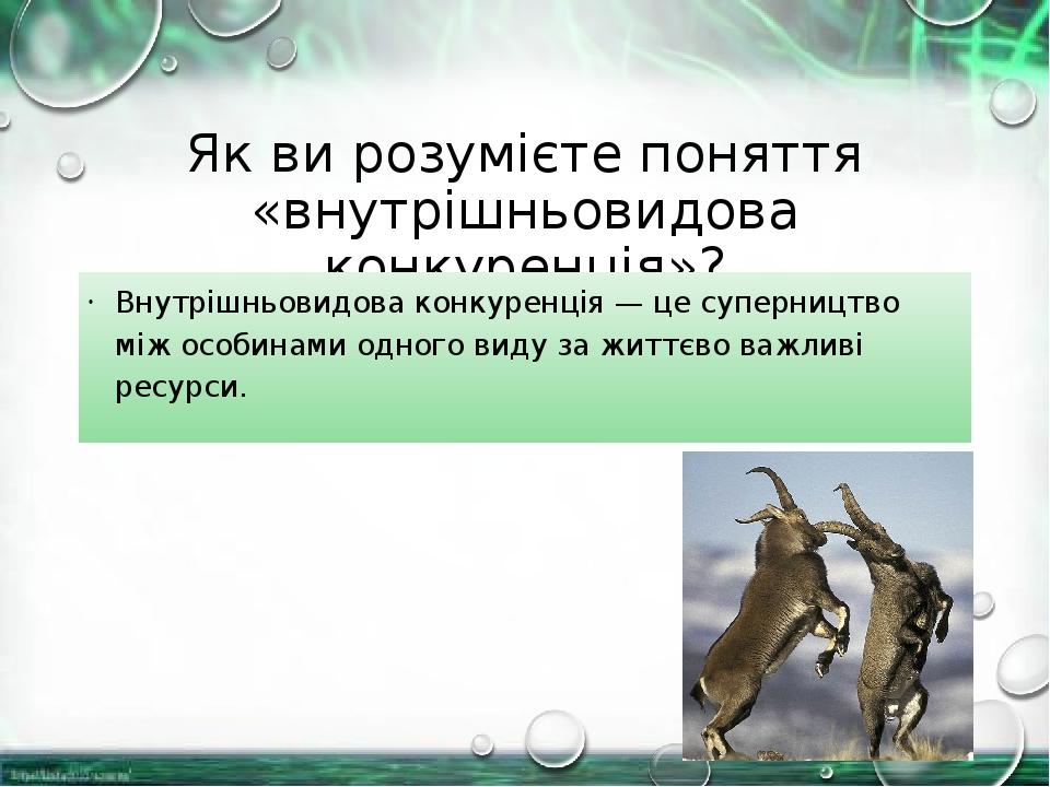 Як ви розумієте поняття «внутрішньовидова конкуренція»? Внутрішньовидова конкуренція — це суперництво між особинами одного виду за життєво важливі ...