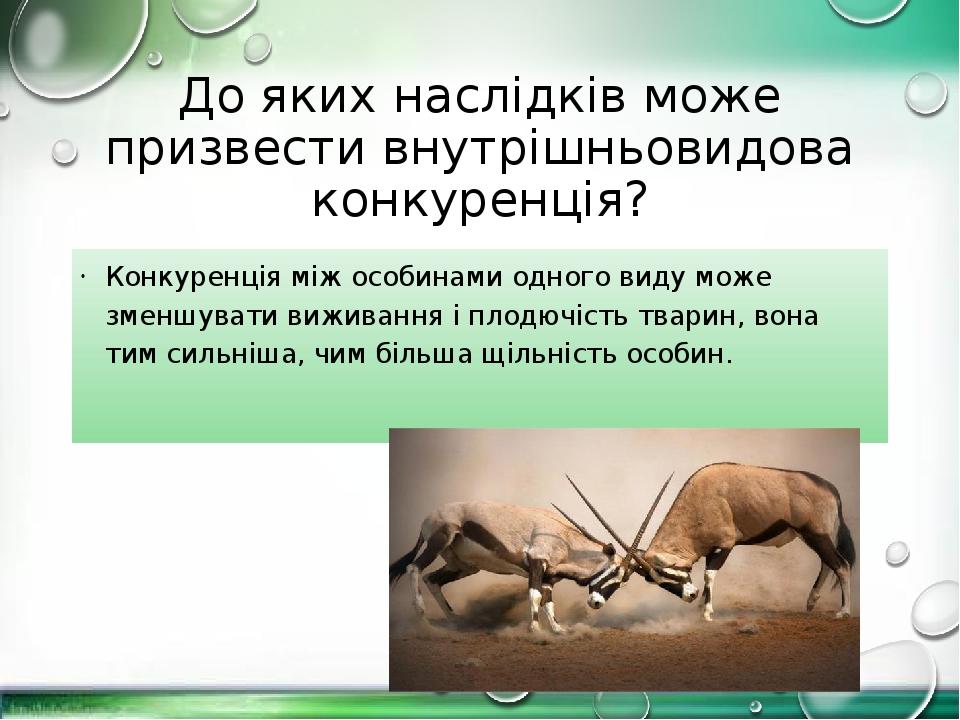 До яких наслідків може призвести внутрішньовидова конкуренція? Конкуренція між особинами одного виду може зменшувати виживання і плодючість тварин,...