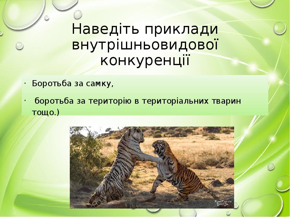 Наведіть приклади внутрішньовидової конкуренції Боротьба за самку, боротьба за територію в територіальних тварин тощо.)