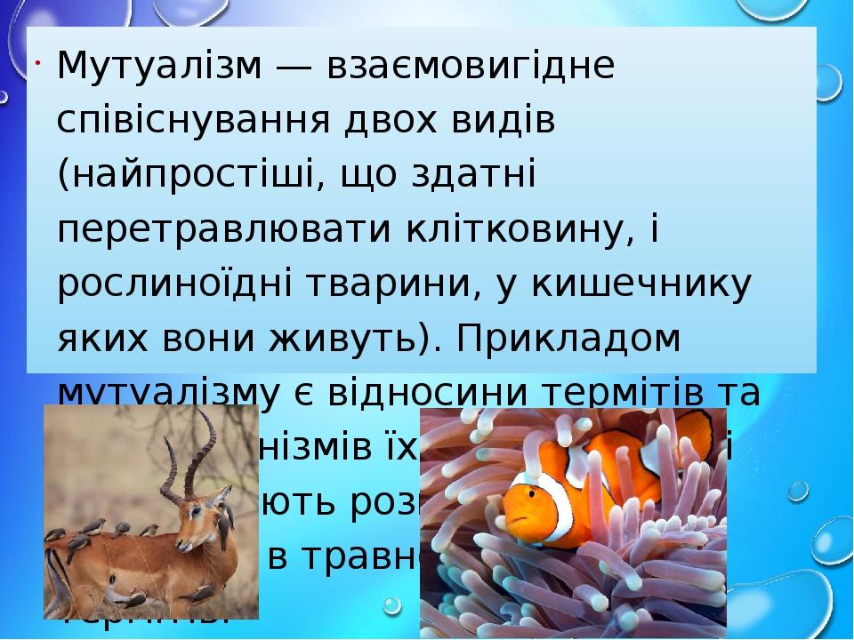 Мутуалізм — взаємовигідне співіснування двох видів (найпростіші, що здатні перетравлювати клітковину, і рослиноїдні тварини, у кишечнику яких вони ...