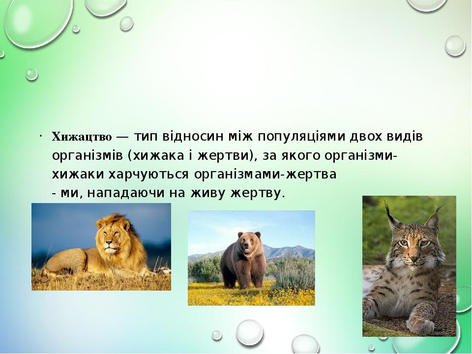 Хижацтво — тип відносин між популяціями двох видів організмів (хижака і жертви), за якого організми-хижаки харчуються організмами-жертва - ми, напа...