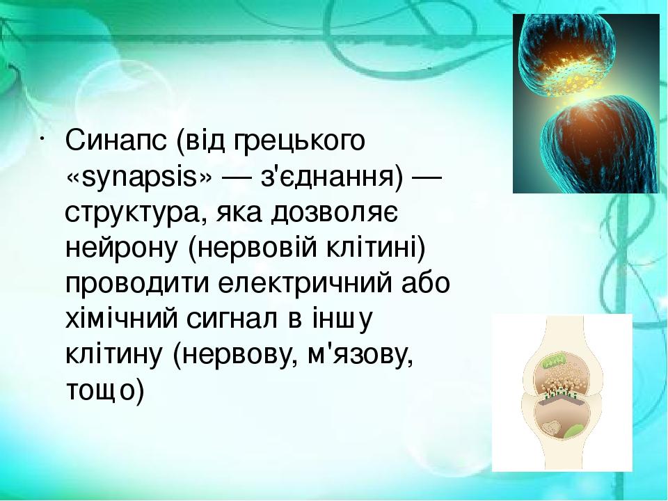 Сина́пс (від грецького «synapsis» — з'єднання) — структура, яка дозволяє нейрону (нервовій клітині) проводити електричний або хімічний сигнал в інш...