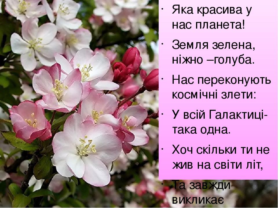 Яка красива у нас планета! Земля зелена, ніжно –голуба. Нас переконують космічні злети: У всій Галактиці- така одна. Хоч скільки ти не жив на світи...