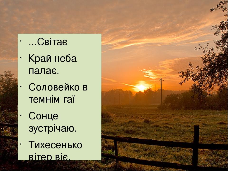 ...Світає Край неба палає. Соловейко в темнім гаї Сонце зустрічаю. Тихесенько вітер віє, Степи, лана мріюьть; Між ярами над ставами Верби зеленіють...