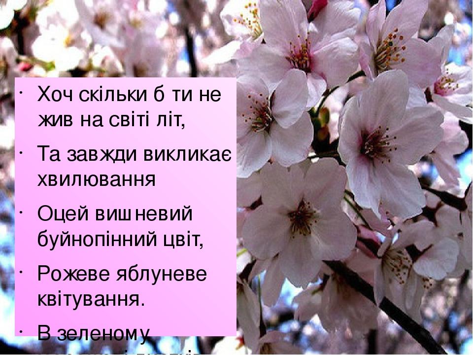 Хоч скільки б ти не жив на світі літ, Та завжди викликає хвилювання Оцей вишневий буйнопінний цвіт, Рожеве яблуневе квітування. В зеленому мережеві...