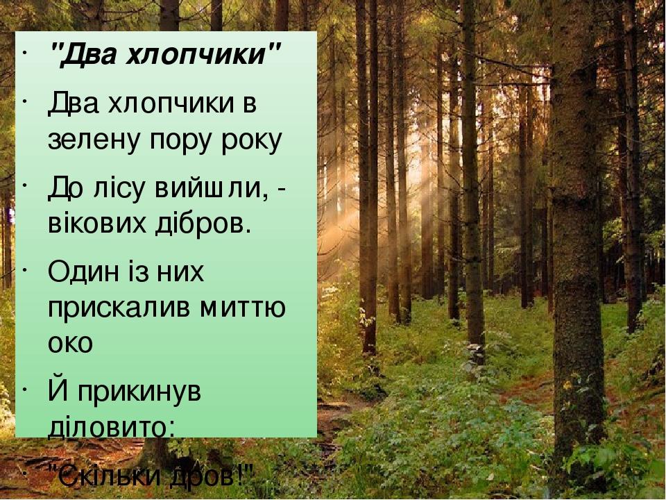 "Два хлопчики" Два хлопчики в зелену пору року До лісу вийшли, - вікових дібров. Один із них прискалив миттю око Й прикинув діловито: "Скільки дров...