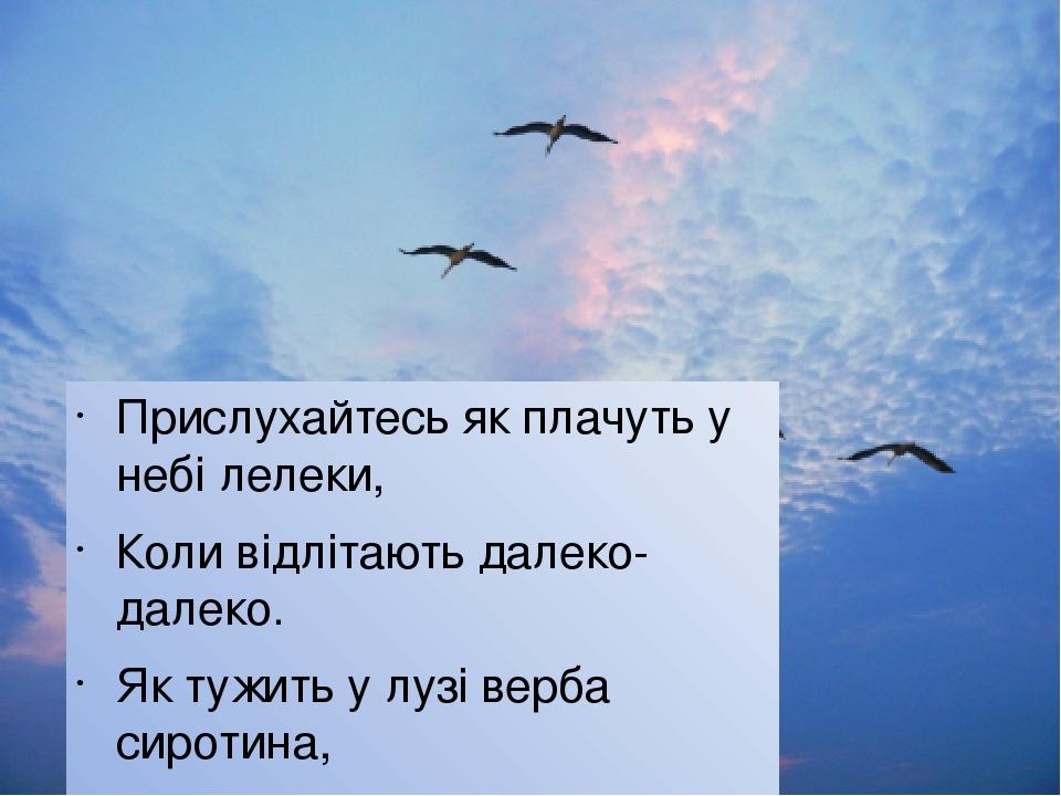 Прислухайтесь як плачуть у небі лелеки, Коли відлітають далеко-далеко. Як тужить у лузі верба сиротина, Полить, як вмирає життя в павутині, Як стог...
