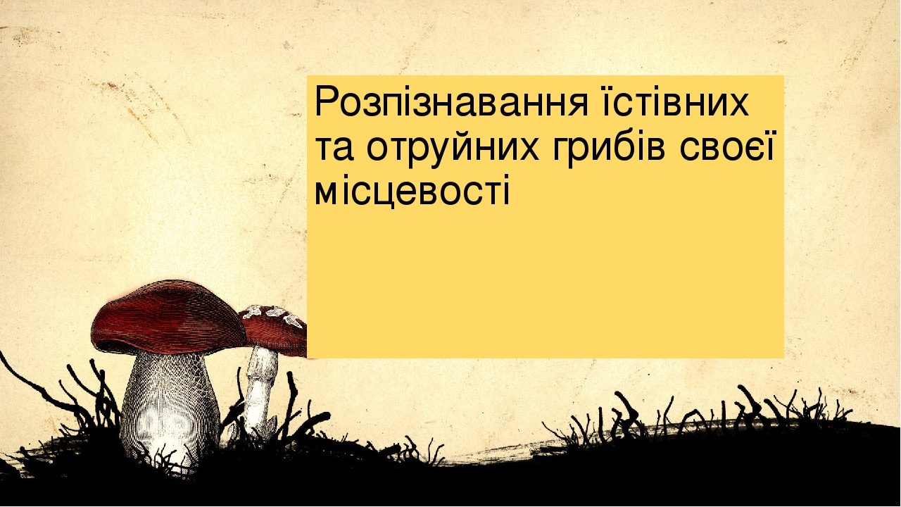 Розпізнавання їстівних та отруйних грибів своєї місцевості