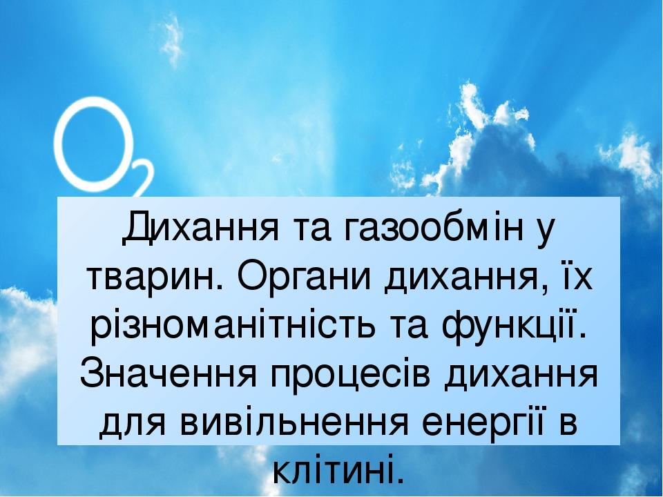 Дихання та газообмін у тварин. Органи дихання, їх різноманітність та функції. Значення процесів дихання для вивільнення енергії в клітині.