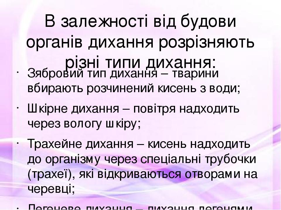 В залежності від будови органів дихання розрізняють різні типи дихання: Зябровий тип дихання – тварини вбирають розчинений кисень з води; Шкірне ди...