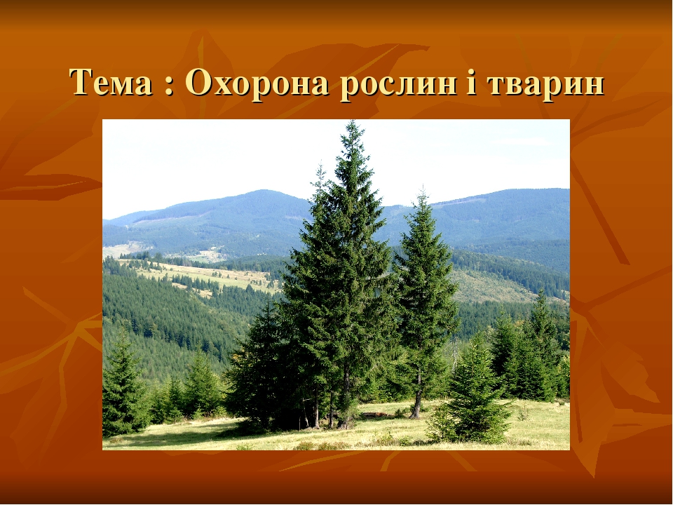 Навчально-виховний проект "Охорона рослин і тварин"