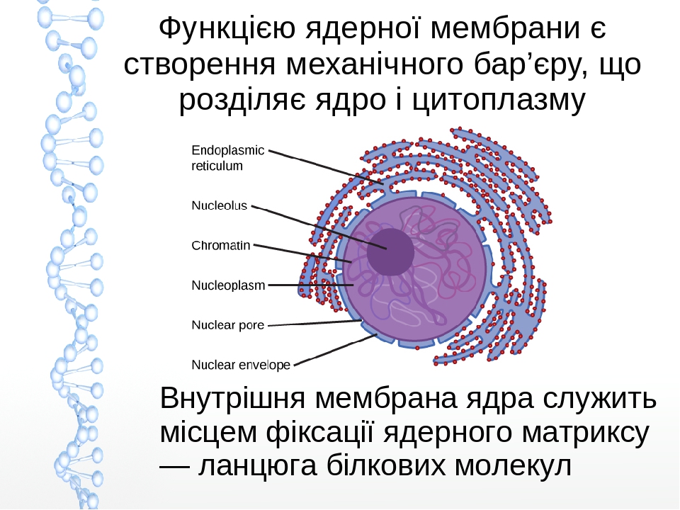 Не работает 1 ядро 4 ядерного процессора