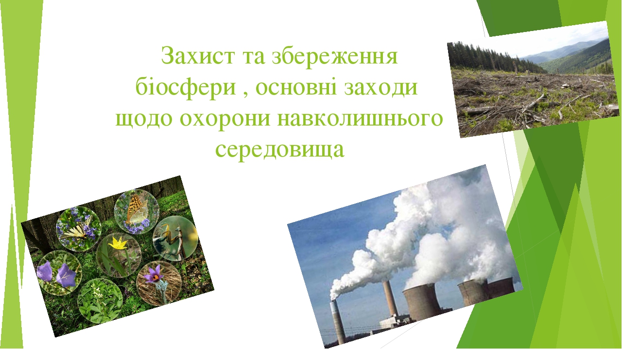 Захист та збереження біосфери , основні заходи щодо охорони навколишнього середовища