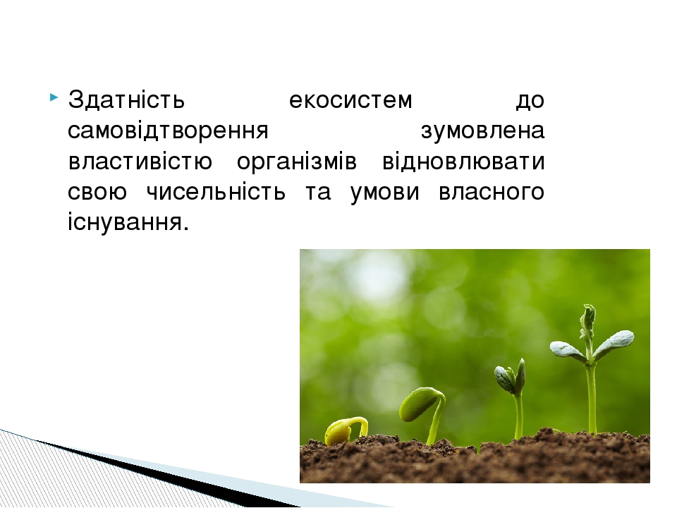 Здатність екосистем до самовідтворення зумовлена властивістю організмів відновлювати свою чисельність та умови власного існування.