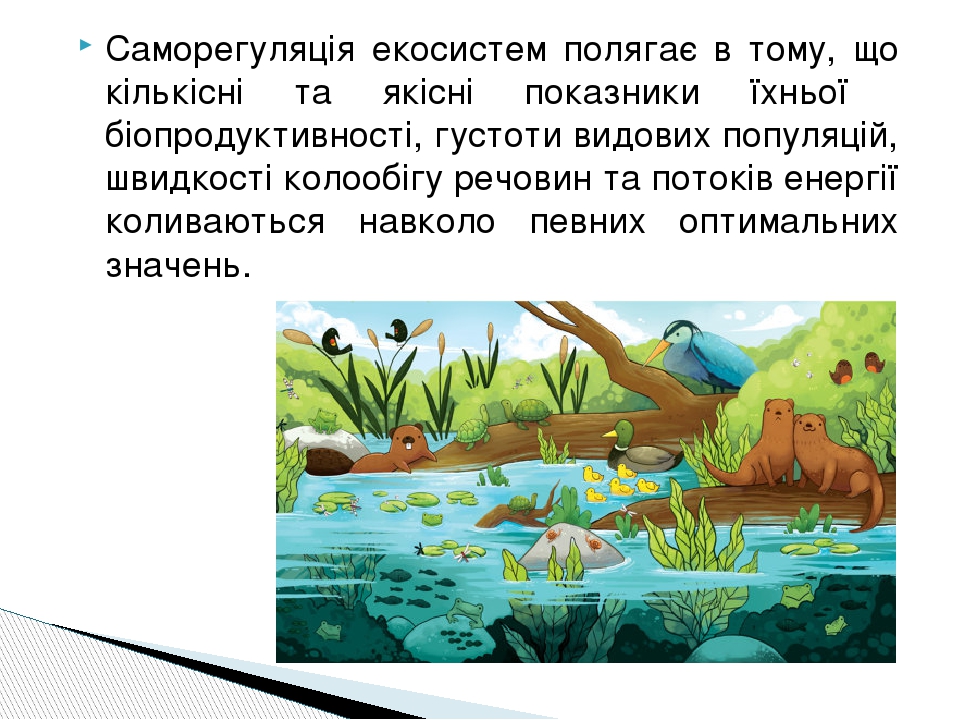 Саморегуляція екосистем полягає в тому, що кількісні та якісні показники їхньої біопродуктивності, густоти видових популяцій, швидкості колообігу р...