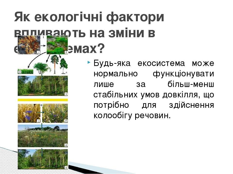 Будь-яка екосистема може нормально функціонувати лише за більш-менш стабільних умов довкілля, що потрібно для здійснення колообігу речовин. Як екол...