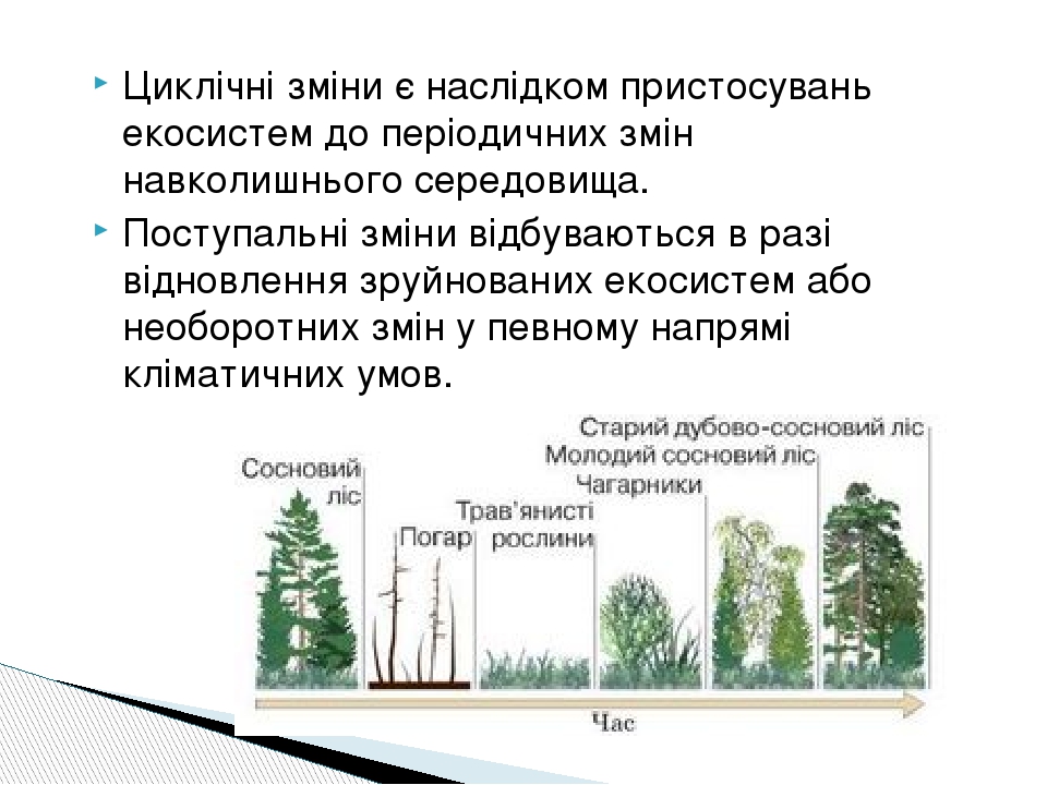 Циклічні зміни є наслідком пристосувань екосистем до періодичних змін навколишнього середовища. Поступальні зміни відбуваються в разі відновлення з...