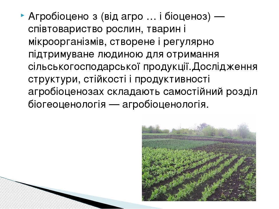 Агробіоцено́з (від агро … і біоценоз) — співтовариство рослин, тварин і мікроорганізмів, створене і регулярно підтримуване людиною для отримання сі...