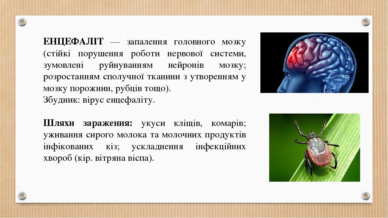 ЕНЦЕФАЛІТ — запалення головного мозку (стійкі порушення роботи нервової системи, зумовлені руйнуванням нейронів мозку; розростанням сполучної ткани...