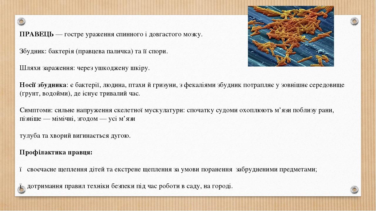 ПРАВЕЦЬ — гостре ураження спинного і довгастого мозку. Збудник: бактерія (правцева паличка) та її спори. Шляхи зараження: через ушкоджену шкіру. Но...